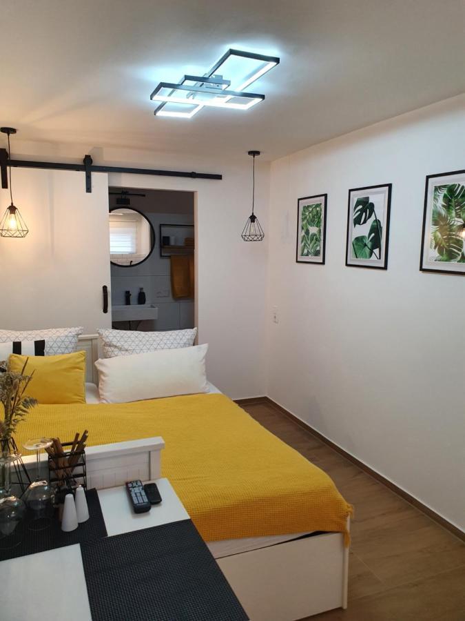 Studio-Apartment Kontaktloser Check-In Meckenbeuren Ngoại thất bức ảnh